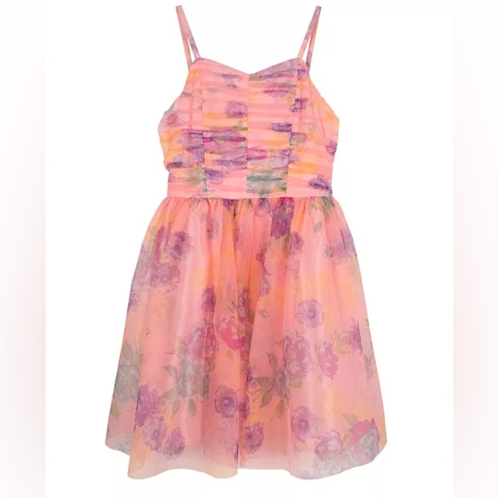 Pink & Violet Sleeveless Printed Mesh Shirred Bodice Dress